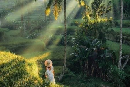 Private Day Tour in Ubud Hotel Pick Up Included